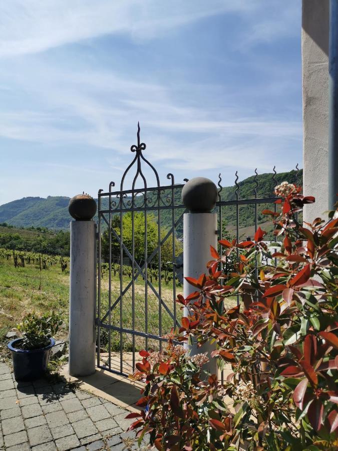 Апартаменты Weingut Amlinger&Sohn Neef Экстерьер фото